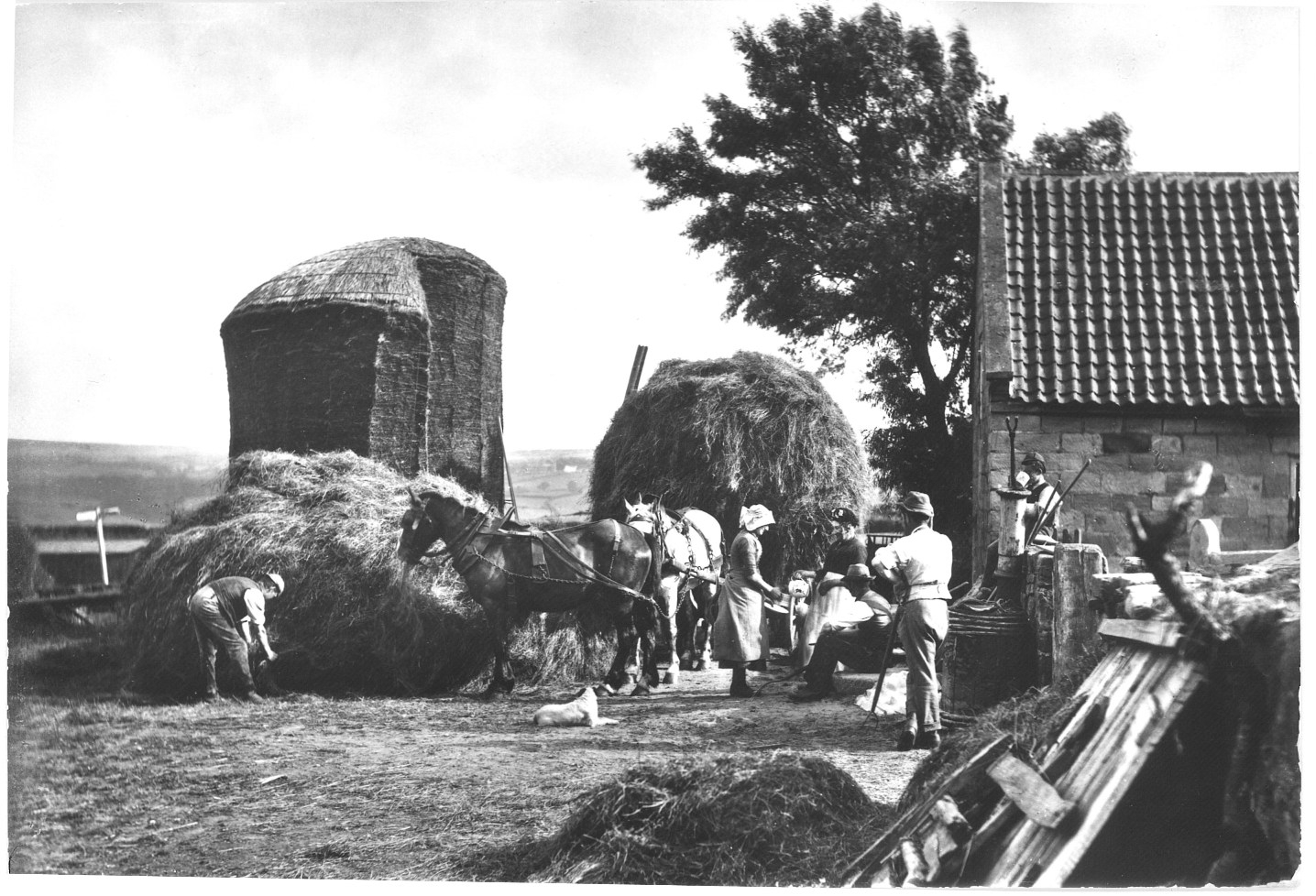 Name: Agricultural Ganging in the Victorian Age